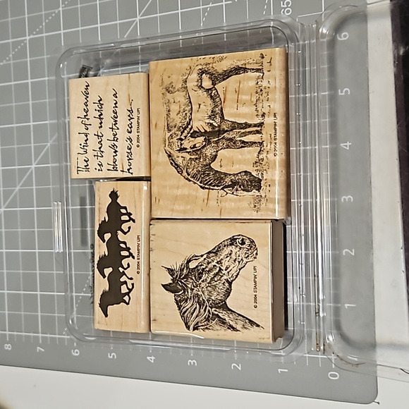 Bareback 🐎 Horse rubber stamp set - Picture 2 of 4